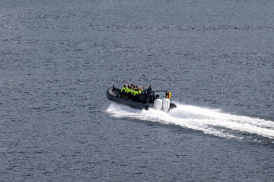 Ulvik: Hardangerfjord Ultimate RIB Tour - Ulvikfjord and the first cruise stretch