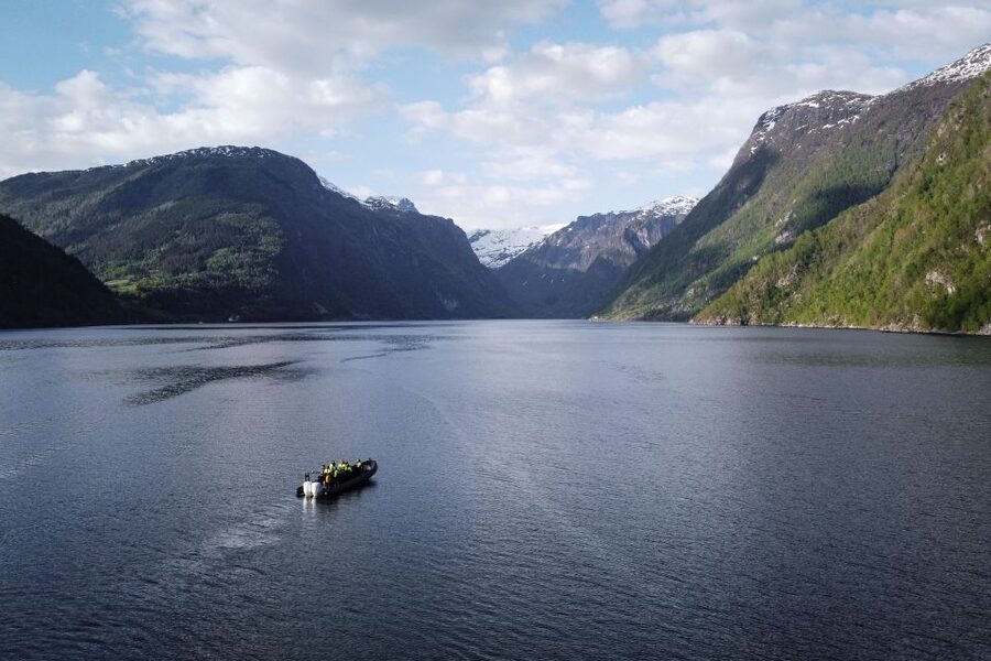 Ulvik: Hardangerfjord Ultimate RIB Tour - Osafjord, the 13 km roadless branch with old shoreline life