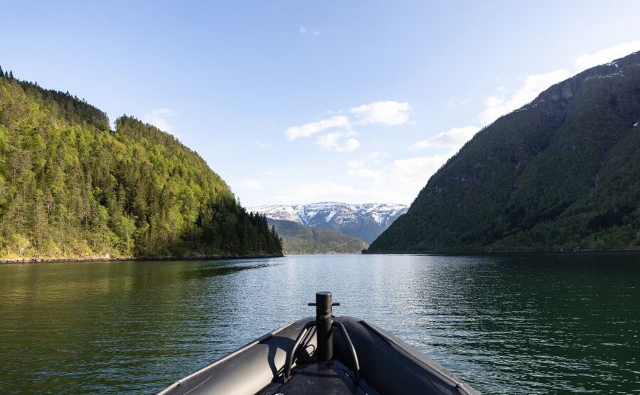 Ulvik: Hardangerfjord Ultimate RIB Tour - Stops for photos, and how to get the most from the captain