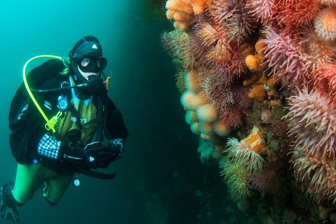 Unique Scuba Diving Experience - Price and Value: Is $214.31 Worth It?