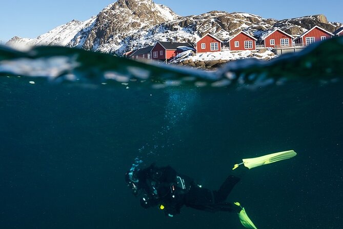 Unique Scuba Diving Experience - Gear and Cold-Water Comfort: How the Team Helps You Stay Ready