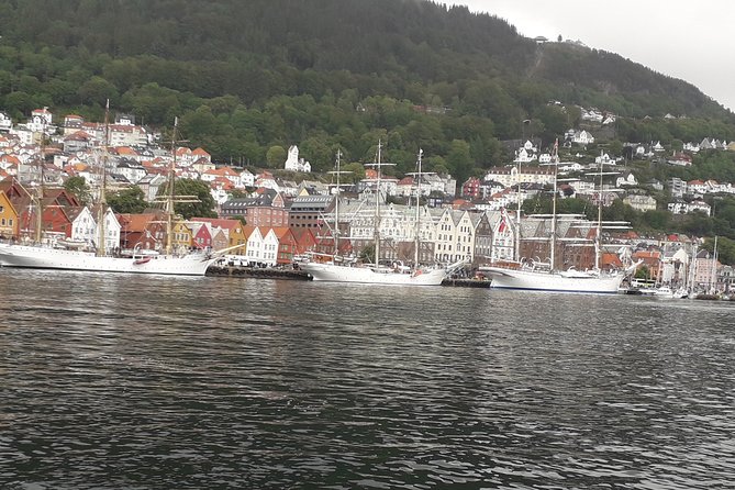 Walking tour: Medieval Spirit of Bergen + sweet Arctic gifts - Key points to know before you walk