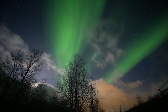 Watching The Aurora Dance - Price and value: is $167.36 worth it?