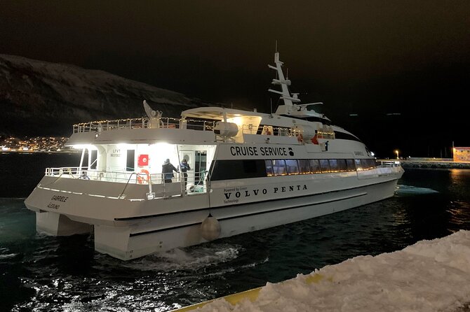 Whale Safari in Tromso - Orcas, humpbacks, and what to watch for when the sightings start