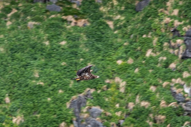 Wildlife Sea Safari in Alesund - Extreme sea conditions: expect route changes and plan to stay ready