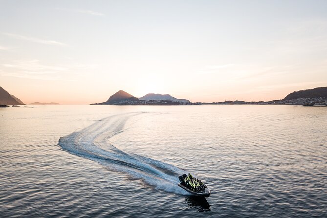 Wildlife Sea Safari in Alesund - Wildlife sightings are part science, part luck (and that is normal)