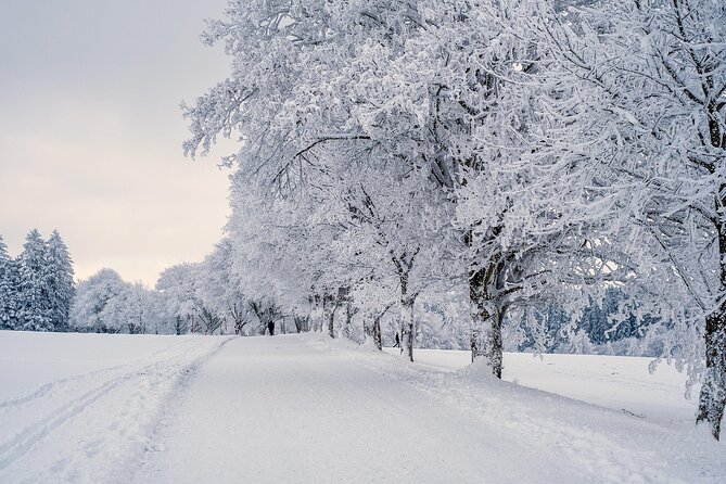 Winter E-Bike Tour: A Royal Coastal Adventure - Norsk Folkemuseum area, then warmth back into your ride