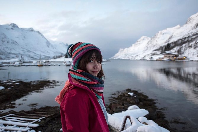Winter Fjord Road Trip with Wandering Owl - Key highlights that matter in real life