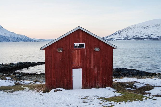 Winter Fjord Road Trip with Wandering Owl - Fjord time from Tromsø, without the rental-car stress
