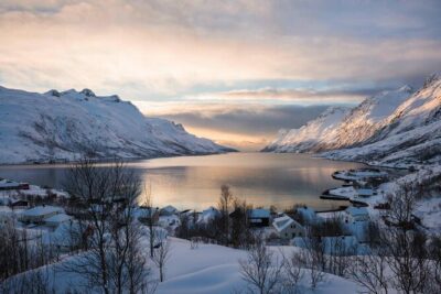 Winter Fjord Road Trip with Wandering Owl