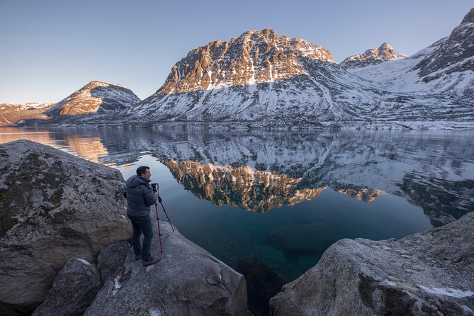 Winter Fjord Road Trip with Wandering Owl - Wildlife study energy, plus the reindeer factor