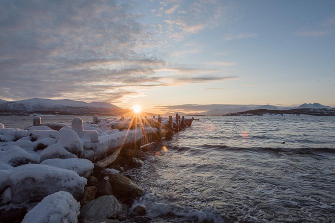 Winter Fjord Road Trip with Wandering Owl - What you eat and wear matters more than you think