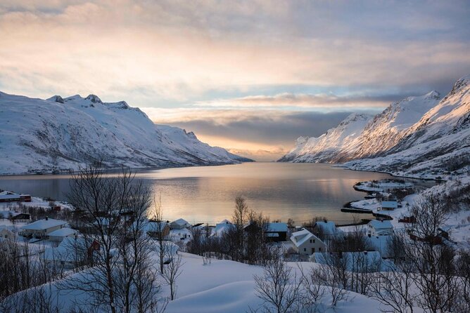 Winter Fjord Road Trip with Wandering Owl - Kvaløya in winter: why this route feels different