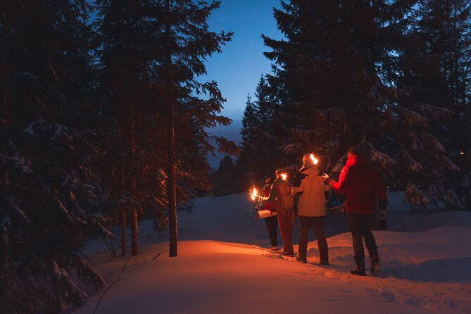 Winter Forest Walk and Campfire by Torchlight in Oslo - Key highlights you should care about