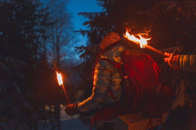 Winter Forest Walk and Campfire by Torchlight in Oslo - Price and value: is $95.12 fair for 3.5 hours?