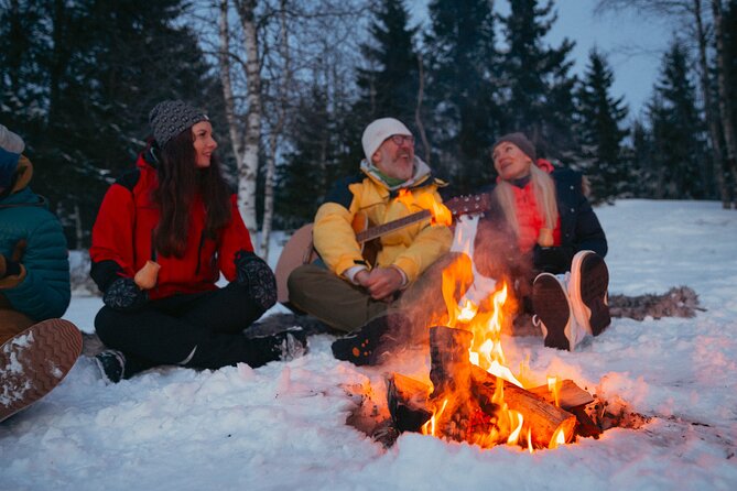 Winter Forest Walk and Campfire by Torchlight in Oslo - Who this Oslo winter torchlight walk suits best