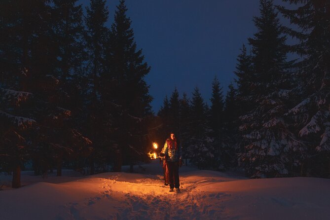 Winter Forest Walk and Campfire by Torchlight in Oslo - The torchlit forest walk: what it feels like and how to handle the cold