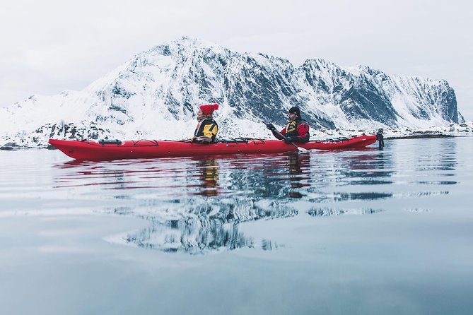 Winter Half Day Kayak Tour - Key things to know before you go