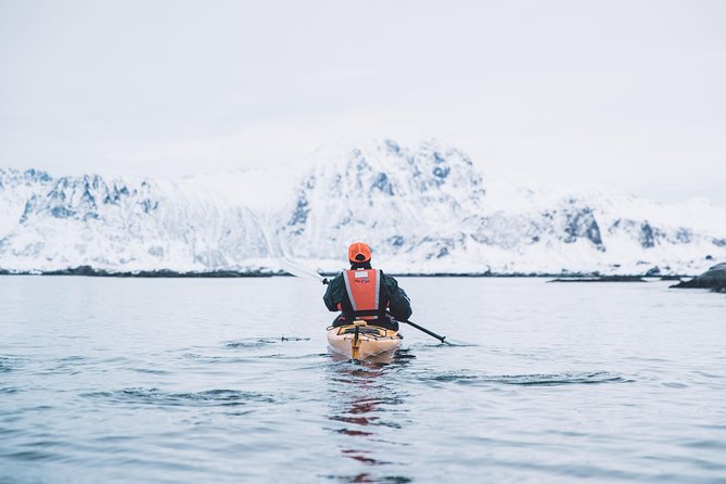 Winter Half Day Kayak Tour - A Warm Break with Coffee and Cookies Midway