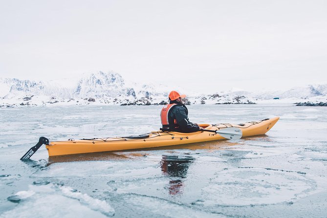 Winter Half Day Kayak Tour - Price and Value: Is $118.45 Worth It?