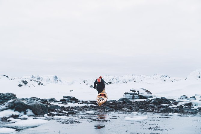 Winter Half Day Kayak Tour - Who Should Book This Winter Half-Day Kayak Tour