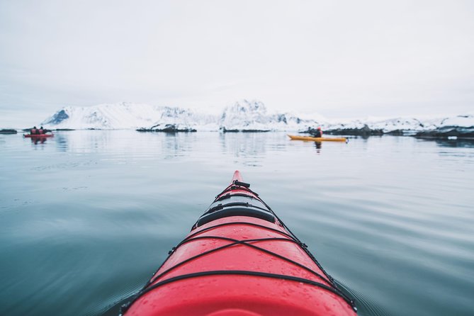 Winter Half Day Kayak Tour - Meeting at Eggumsveien 655, 10:30 am: How the Half-Day Gets Rolling
