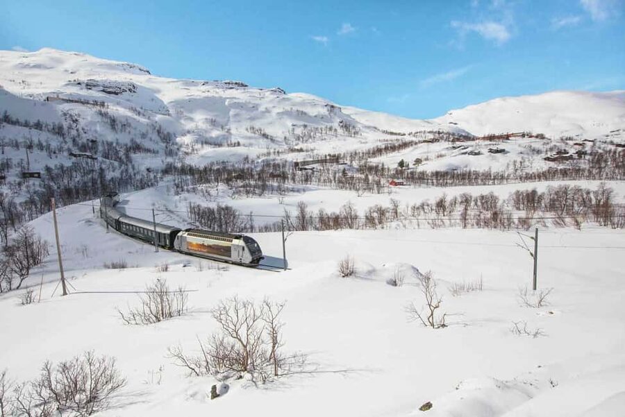 Winter Tour Viking Village, Nærøyfjord Cruise & Flåm Railway - Gudvangen Photo Stop: Quick Views, No Detour Drama